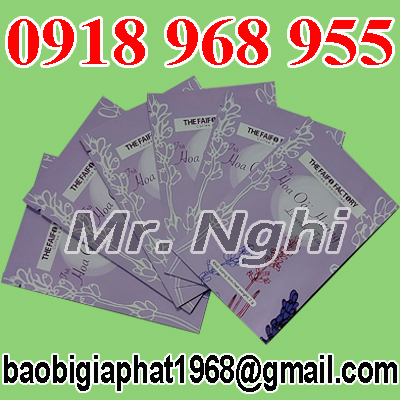 In túi trà 2 g| baobimangghep.com