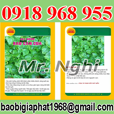 In túi hạt giống | baobimangghep.com