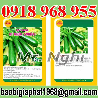 In túi hạt giống| baobimangghep.com