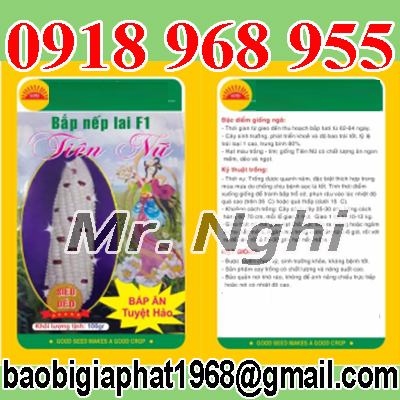 In túi hạt giống| baobimangghep.com