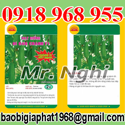 In túi hạt giống| baobimangghep.com