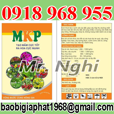 In túi phân bón| baobimangghep.com