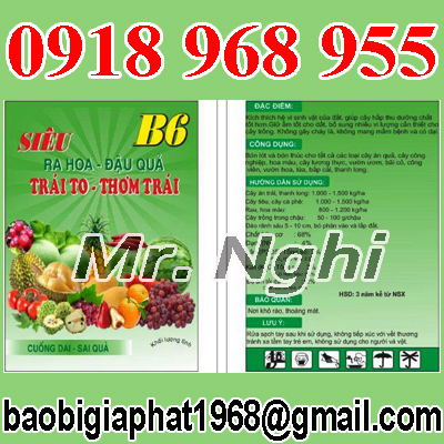 In túi phân bón| baobimangghep.com
