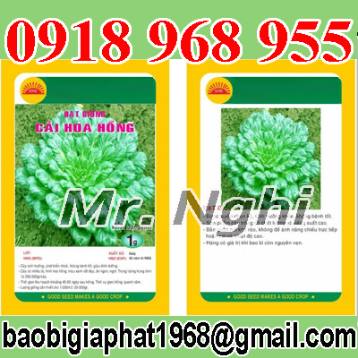 In túi hạt giống| baobimangghep.com
