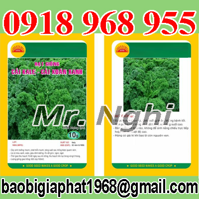 In túi hạt giống| baobimangghep.com