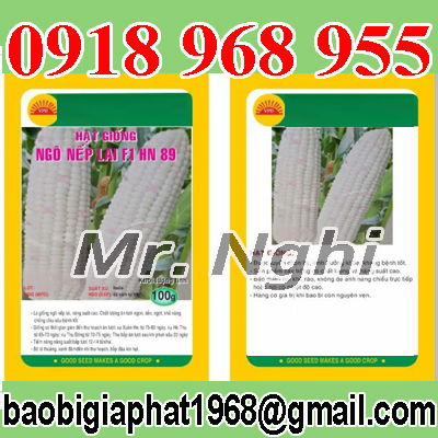 In túi hạt giống| baobimangghep.com