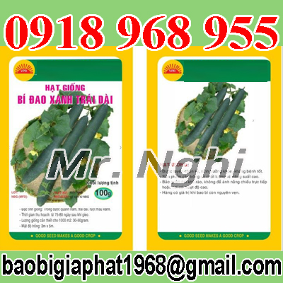 In túi hạt giống| baobimangghep.com