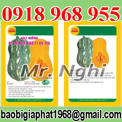 In túi hạt giống| baobimangghep.com