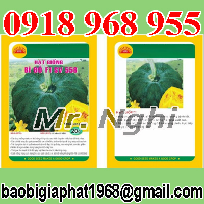 In túi hạt giống| baobimangghep.com