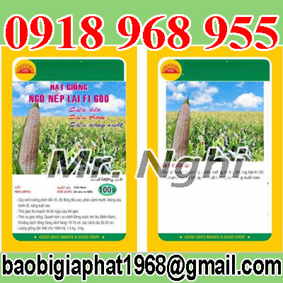 In túi hạt giống| baobimangghep.com